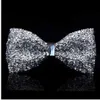 Ny Bow Tie Crystal Bling Butterfly Knot för män Bröllop Bankett Feast Club Party Bridegroom Shinning257N