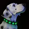 Colliers pour chiens Fournitures Accessoires pour animaux de compagnie Laisse et produits -7 couleurs en 1