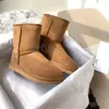 Designer Australia Klassieke Warme Dames Winter Mini Boot Platform Laarzen voor Heren Echt Leer Warm Enkel Bont Booties Luxe Schoen