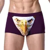 Caleçons Hommes Caleçons Culottes drôles pour hommes Modal avec boxer de loup mens vente Pouch Bulge boxers homme Sous-vêtements de dessin animé pour hommes J230713