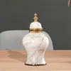 Le stockage met en bouteille le vase décoratif traditionnel de fleur de pot de gingembre pour la partie à la maison de chambre à coucher