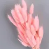 Vegetazione floreale finta Fiori secchi naturali Lagurus Ovatus Coniglio Coda di coniglietto Erba 100 pezzi Bouquet di fiori veri Pampas per la decorazione domestica di nozze 230713