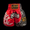 Shorts Masculino Shorts MMA Professional Amateur Kickboxer Boxe Shorts Feminino Masculino Crianças Meninos Meninas Bordado MuayThai Calça Curta Fight Wear 230712