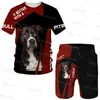 Survêtements pour hommes Survêtement d'été Rottweiler Dog Pattern TShirt Shorts Set Sports Outfits Male Streetwear Suit Outdoor Casual Clothing 230712