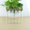 Storage Bottles 12pcs 30 120mm 60ml Cork Glass Bottle Stopper Spicy Small Transparent Container Jars Vials DIY Craft