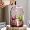 Vases Glass Vase Transparent Straight Candle Cover Display Ornaments Desktop Simple Dust-proof Flower Arranging Home Decoration