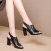 Été pour femmes épaisses High Heel Elegant Party Dames Open Toe Roman Sandals Sandalias Mujer 230713 4DA0