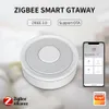 Smart Power Plugs Homekit Zigbee Hub Home Bridge App Remote Control работает с Alexa Tuya SmartLife 230712