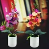 Decorative Flowers Artificial Plant PVC Delicate Bright-colored Wedding Orchid Flower With Pot Simulation Bonsai DIY