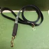 Cat Dog Twlar Rope مجموعة الكلاب القابلة للتعديل Cats تسخير الياقات الياقات المقيدة قطة قطة Schnauzer