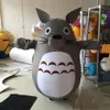2018 Costume de mascotte Chinchilla Mon voisin Totoro Costume de dessin animé Fête de Noël fancy3110