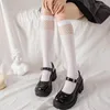 Kadınlar SOCKS Japon jk kadın siyah beyaz kadife lolita uzun diz yüksek moda kawaii cosplay seksi naylon gotik çorap