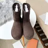 Designer Australia Klassieke Warme Dames Winter Mini Boot Platform Laarzen voor Heren Echt Leer Warm Enkel Bont Booties Luxe Schoen