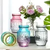 Vasen Nordic Relief Elegante Glasvase Home Decor Blume Transparent für Dekoration Flasche