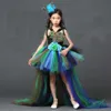 Girl's Dresses POSH DREAM Girl Peacock Flower Party Tutu Dresses for Halloween with Train Tulle Peacock Princess Children Party Evening DressHKD230712