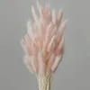 Vegetazione floreale finta Fiori secchi naturali Lagurus Ovatus Coniglio Coda di coniglietto Erba 100 pezzi Bouquet di fiori veri Pampas per la decorazione domestica di nozze 230713