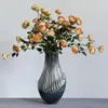 Vazolar cam vazo nordic ev dekoru yaratıcı şekilli çiçek şişesi teraryum hidroponik masaüstü dekorasyon sanatı