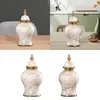 Le stockage met en bouteille le vase décoratif traditionnel de fleur de pot de gingembre pour la partie à la maison de chambre à coucher