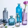 Vasi Nordic Glass Reed Diffusore Bottiglia Salotto Decorazione Tavola Colorata Arredamento Per La Casa