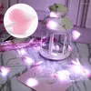 Strängar led hjärtform strängljus rosa lila tjej ljus Alla hjärtans dag Fairy Indoor Party Garden Valentines Decor