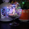 Cordas bateria festa de natal casamento lâmpada de fada guirlanda fio de cobre luz quintal jardim decoração ao ar livre corda led