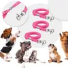 Hundhalsar Pet Cat Noose Loop Lock Clip Rope för Grooming Table Arm Bad Justerbar Bestämningsnät Tillbehör leder fast