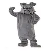 2019 usine nouveau costume de mascotte bouledogue cool gris équipe d'animaux de l'école Cheerleading tenue complète taille adulte2247