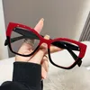 Sunglasses Vintage Oversized Anti Blue Light Glasses Office Computer Goggles Unisex Cat Eye Frame Radiation Video Gaming Eyewear