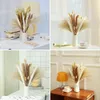 Faux Floral Greenery 100Pcs lot Pampas Set Decoration Fluffy Natural Living Room Tall Grass Dried Flowers Bouquet Boho Home Decor 230713