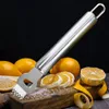 Инструменты из нержавеющей стали с лимонной пилером Lemons Zester Grater Lime Orange Citrus Fruit Changer