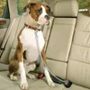 Colliers pour chiens Ceinture de sécurité Ceinture de sécurité de voiture Harnais anti-mâcher en acier inoxydable Laisse de chaîne sûre pour chiots de compagnie