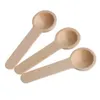 Misurini da caffè 501002005001000Pcs Mini Nature Cucina domestica in legno Cucchiai da cucina Strumento Scooper Sale Condimento Miele 230714