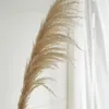 Dekoratif Çiçekler 5/10 adet çok büyük Pampas yaklaşık 50 cm kafa kuru çiçek buket birincil ve bej gerçekten ev dekorasyon düğün bedava dükkan