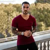 Herr t-shirts Summer Street Trend Mens Fashion All-Match T Shirts Bekväm bomull V-ringning Kortärmad Bodybuilding Fitness Tops L230713