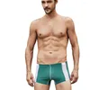 Cuecas masculinas de algodão cuecas curtas boxers sexy cintura baixa shorts masculinos