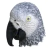 Masques de fête Latex tête complète Animal oiseau Dodo perroquet corbeau accessoires de mascarade masque 230713