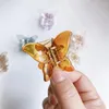 Hair Clips MISANANRYNE Summer Korea Cute Stereoscopic Resin Small Butterfly Colorful Transparent Head Clip Hairpin Accessories 2023