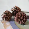 Dekorativa blommor 4st Naturlig torkad tallkon med järngren ACORN -blomma till julhem Diy Garland Wreath Hanging Decoration