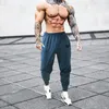 Men's Pants Gym Men Fashion Knitting Quick Dry Pant Elastic Waist Casual Ultra-thin Breathable Trousers Loose Fitness Bodybuilding Clothing