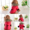 Chien vêtements hiver chaud vêtements pour animaux de compagnie pour petits chiens manteau veste coupe-vent à capuche chiot Costume Chihuahua Yorkshire chat vêtements