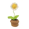 Fleurs décoratives Fleur Artificielle Cadeau Tricoté Ornement Doux Voiture De Mariage Mini En Pot Bureau Salon À La Main Crochet Rose Tulipe Maison