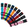 Collari per cani Guinzagli Forniture per animali Nylon normale 9 colori Cani Collo Er Trazione Corda Collare Drop Delivery Home Garden Dh2Of