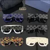 Óculos de sol de grife para mulheres, óculos de sol de grife, tons de óculos de luxo, moda clássica masculina, óculos preto transparente