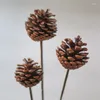 Decorative Flowers 4pcs Natural Dried Pine Cone With Iron Branch Acorn Flower For Christmas Home DIY Garland Wreath Hanging Decoration