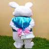 2019 Factory COSTUME MASCOTTE PROFESSIONALE DEL CONIGLIETTO DI PASQUA Bugs Rabbit Hare Adult Fancy Dress Cartoon Suit276S