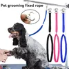 Hundhalsar Pet Cat Noose Loop Lock Clip Rope för Grooming Table Arm Bad Justerbar Bestämningsnät Tillbehör leder fast