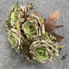 Fiori decorativi TONGFENG Autunno 7 Head Rose Bouquet Seta artificiale Sposa Holding Wall Wedding Party Ornamenti di fiori secchi