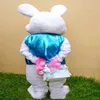 2019 Factory COSTUME MASCOTTE PROFESSIONALE DEL CONIGLIETTO DI PASQUA Bugs Rabbit Hare Adult Fancy Dress Cartoon Suit276S