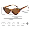 Sunglasses Cat Eye Women Small Frame Luxury Design Woman Retro Punk Cateye Sun Glasses Men Oculos Lentes De Sol Mujer