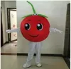 2023 Cherry Mascot Costume Top Quality Anpassa tecknad fruktanime temakaraktär vuxen storlek jul karneval fancy klänning